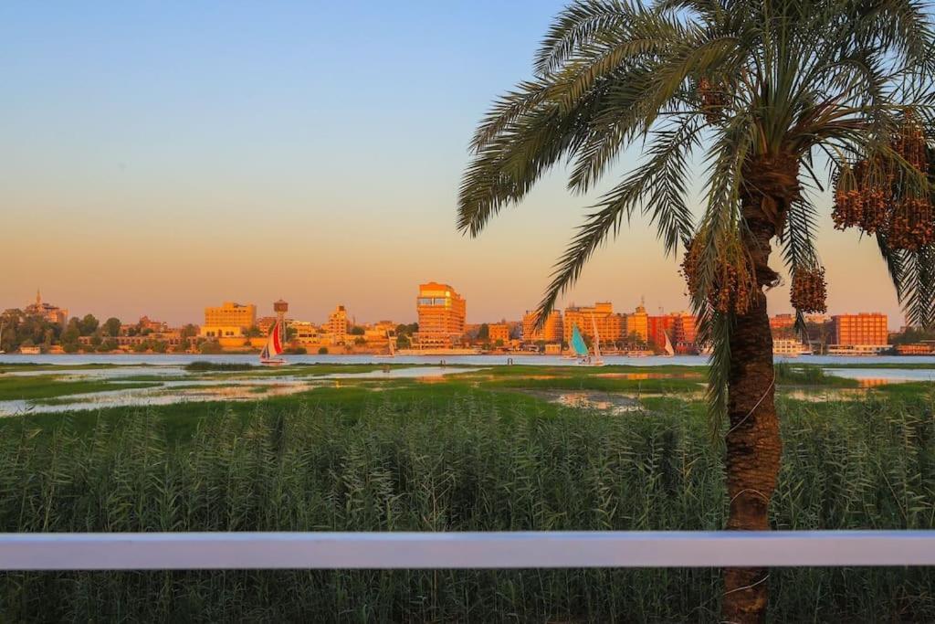 Royal Nile Villas - Nile View Apartment 2 樂蜀 外观 照片