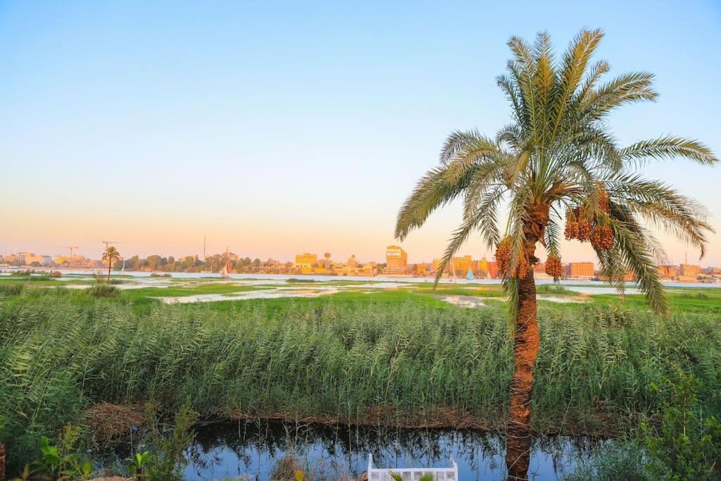 Royal Nile Villas - Nile View Apartment 2 樂蜀 外观 照片