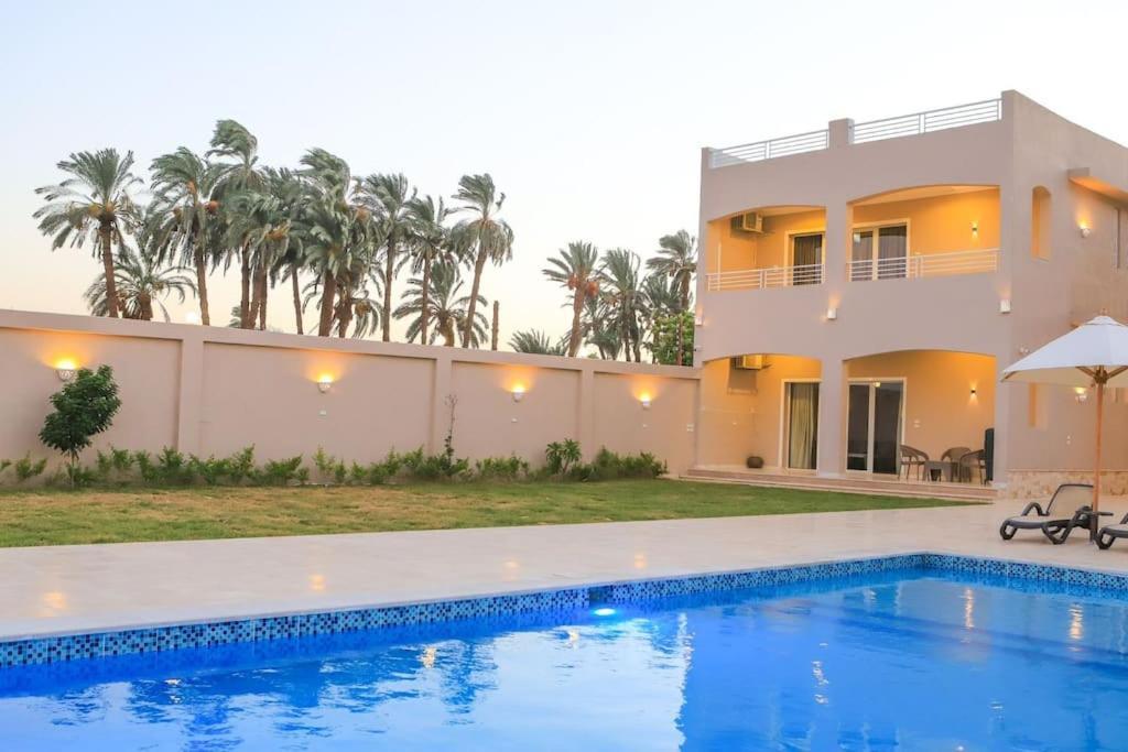 Royal Nile Villas - Nile View Apartment 2 樂蜀 外观 照片